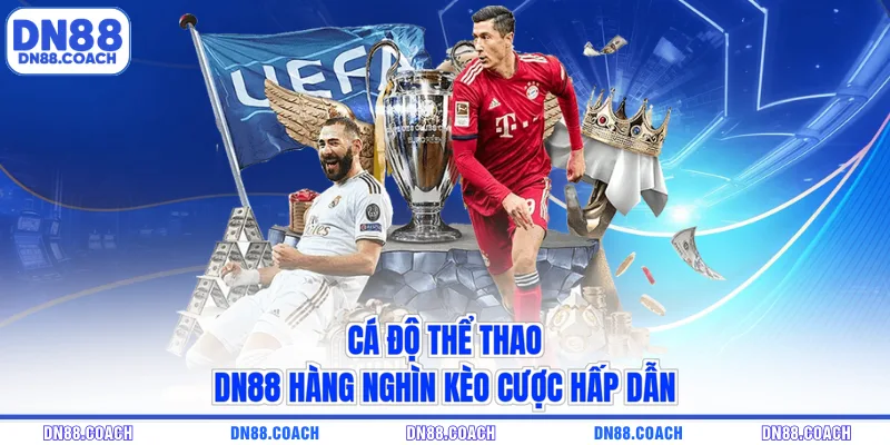 thể thao DN88