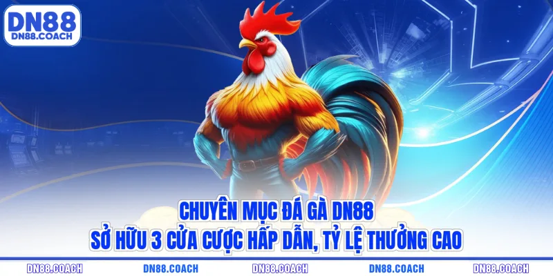 Chuyên mục đá gà DN88 sở hữu 3 cửa cược hấp dẫn, tỷ lệ thưởng cao