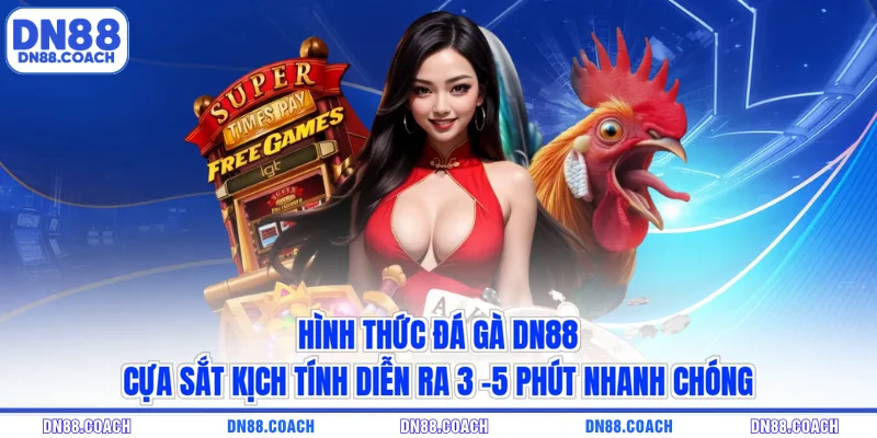 Hình thức đá gà DN88 cựa sắt kịch tính diễn ra 3 -5 phút nhanh chóng