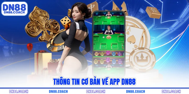 Thông tin cơ bản về app DN88