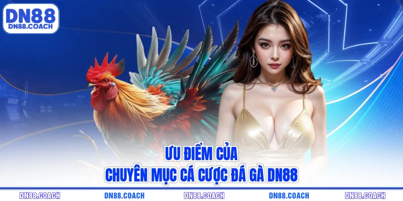Ưu điểm của chuyên mục cá cược đá gà DN88