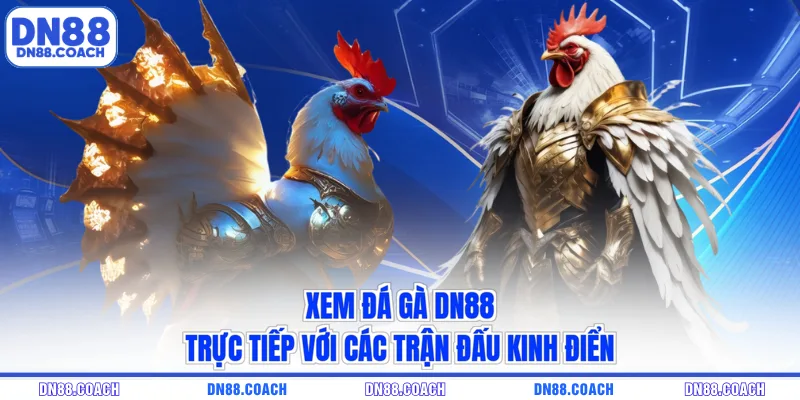 đá gà DN88
